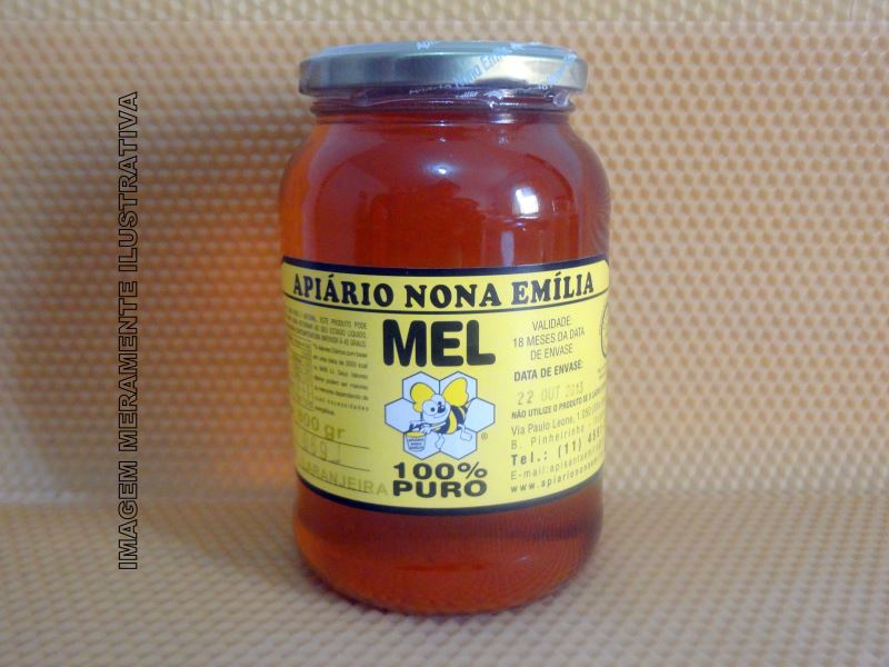 Mel de Laranjeira - 800g